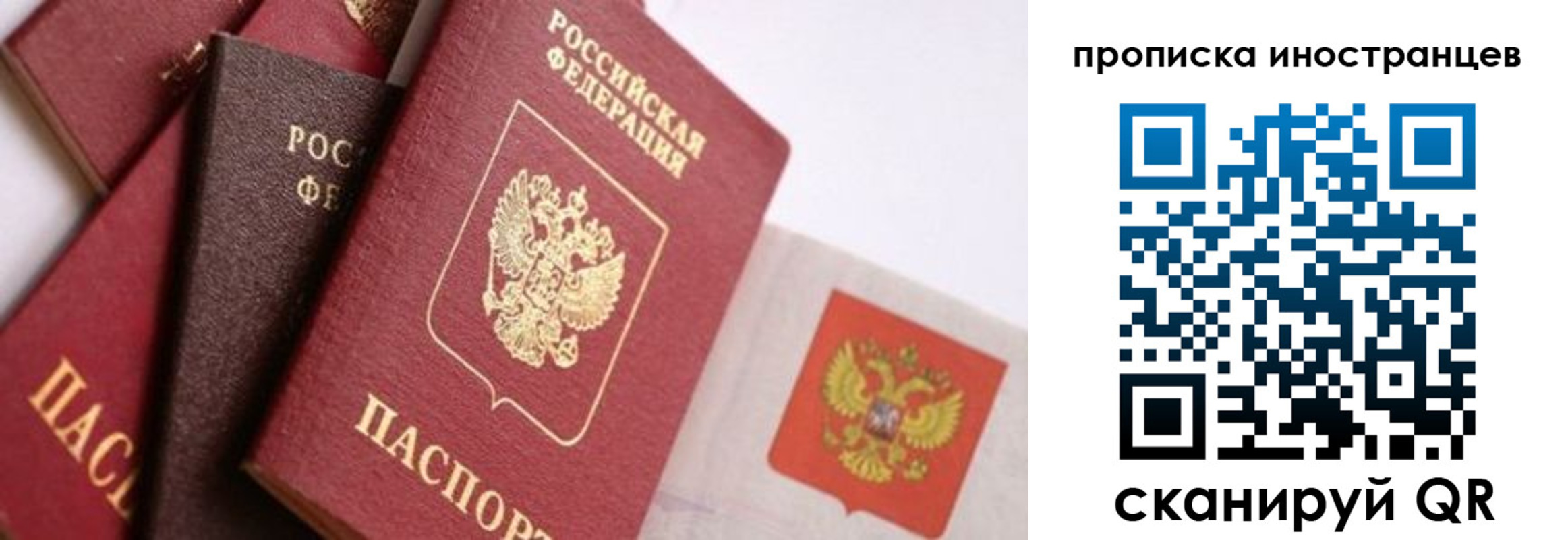 регистрация для школы в Жердевке